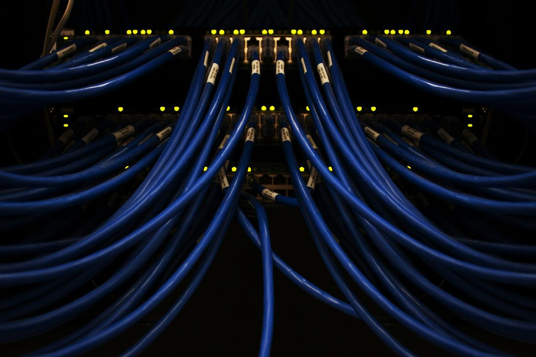 Bundles of blue network patch cables plugged into a switch, lit by status LEDs
