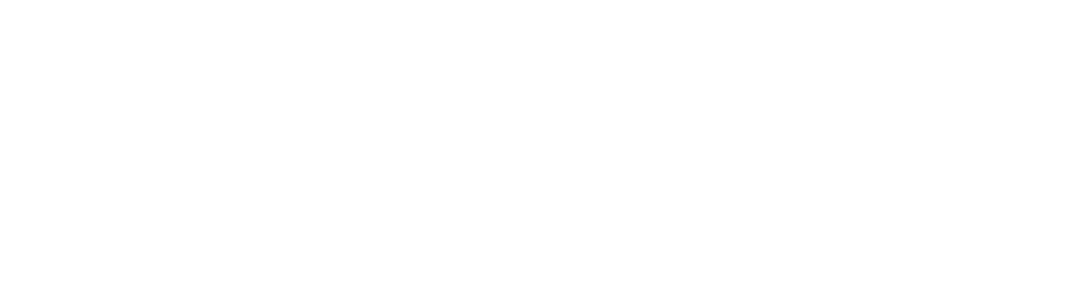 Catharsis Cyber Security